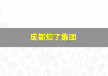 成都知了集团