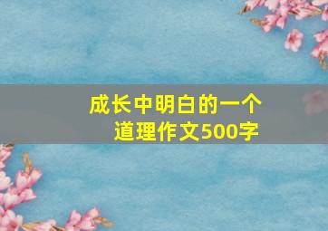 成长中明白的一个道理作文500字