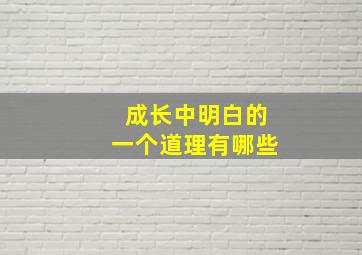 成长中明白的一个道理有哪些