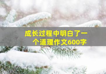 成长过程中明白了一个道理作文600字