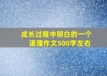 成长过程中明白的一个道理作文500字左右