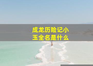 成龙历险记小玉全名是什么