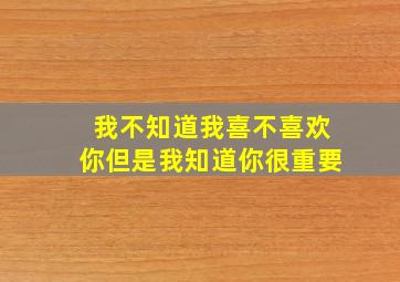 我不知道我喜不喜欢你但是我知道你很重要