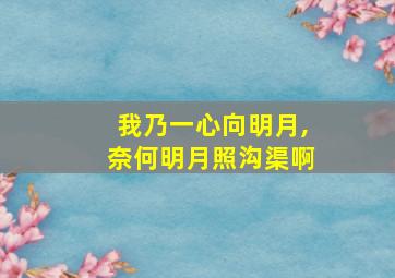 我乃一心向明月,奈何明月照沟渠啊