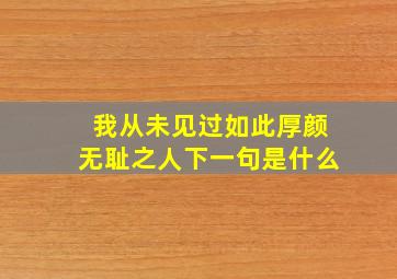 我从未见过如此厚颜无耻之人下一句是什么