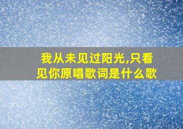 我从未见过阳光,只看见你原唱歌词是什么歌