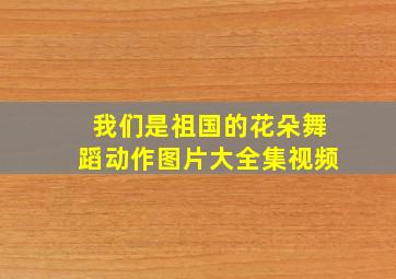 我们是祖国的花朵舞蹈动作图片大全集视频