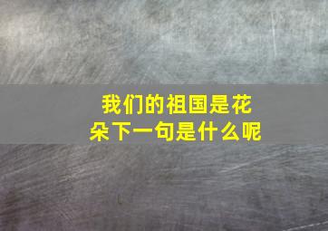 我们的祖国是花朵下一句是什么呢