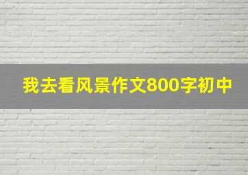 我去看风景作文800字初中