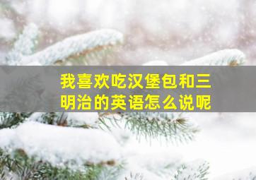 我喜欢吃汉堡包和三明治的英语怎么说呢