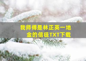 我师傅是林正英一地金的信徒TXT下载