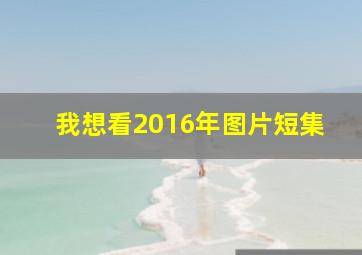 我想看2016年图片短集