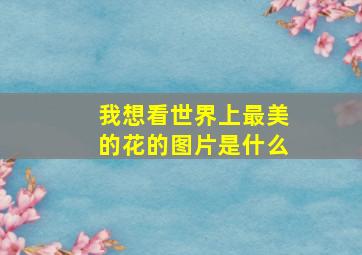 我想看世界上最美的花的图片是什么