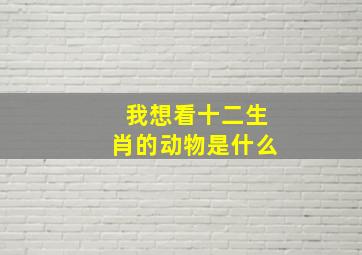 我想看十二生肖的动物是什么