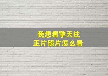 我想看擎天柱正片照片怎么看