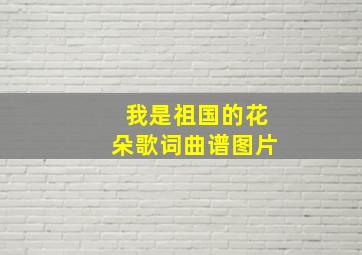 我是祖国的花朵歌词曲谱图片