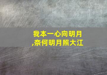 我本一心向明月,奈何明月照大江