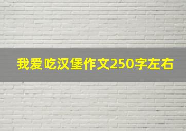 我爱吃汉堡作文250字左右