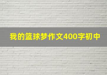 我的篮球梦作文400字初中