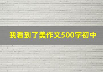 我看到了美作文500字初中