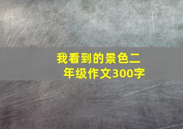 我看到的景色二年级作文300字