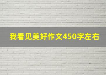 我看见美好作文450字左右