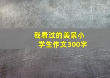 我看过的美景小学生作文300字