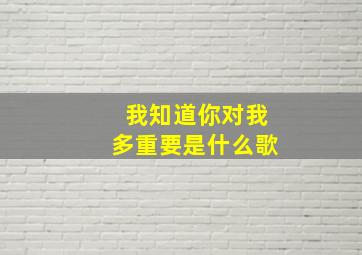 我知道你对我多重要是什么歌