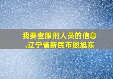 我要查服刑人员的信息,辽宁省新民市殷旭东