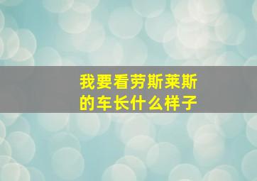 我要看劳斯莱斯的车长什么样子