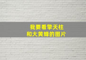 我要看擎天柱和大黄蜂的图片