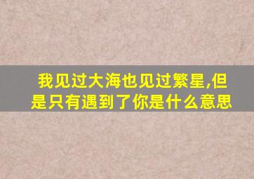 我见过大海也见过繁星,但是只有遇到了你是什么意思