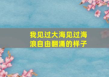 我见过大海见过海浪自由翻涌的样子