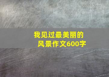 我见过最美丽的风景作文600字