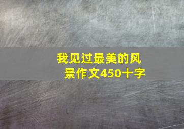 我见过最美的风景作文450十字