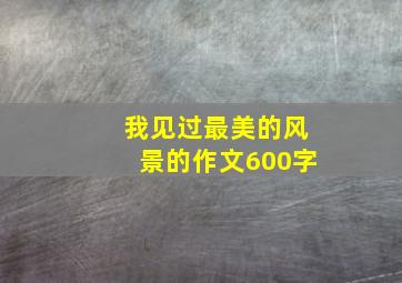 我见过最美的风景的作文600字