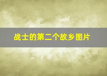 战士的第二个故乡图片