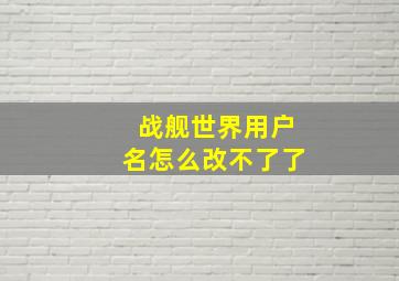 战舰世界用户名怎么改不了了