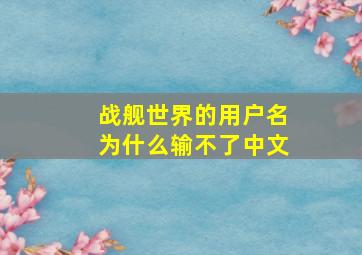 战舰世界的用户名为什么输不了中文