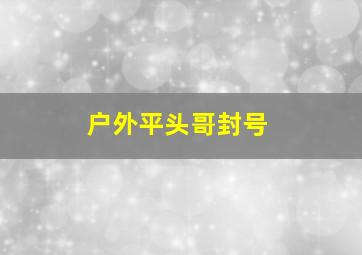 户外平头哥封号