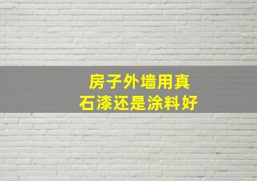 房子外墙用真石漆还是涂料好