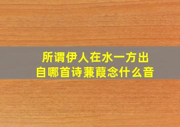 所谓伊人在水一方出自哪首诗蒹葭念什么音