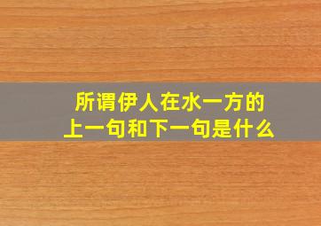 所谓伊人在水一方的上一句和下一句是什么