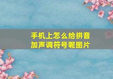 手机上怎么给拼音加声调符号呢图片