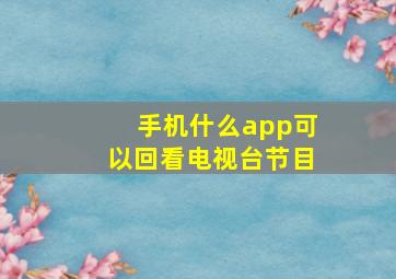 手机什么app可以回看电视台节目