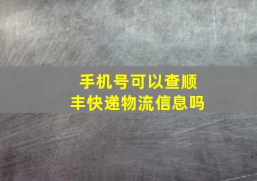 手机号可以查顺丰快递物流信息吗