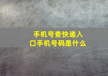 手机号查快递入口手机号码是什么