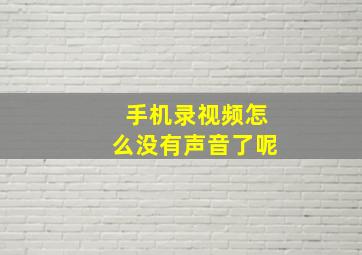 手机录视频怎么没有声音了呢