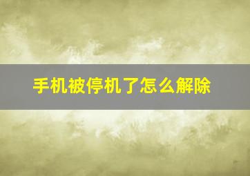 手机被停机了怎么解除