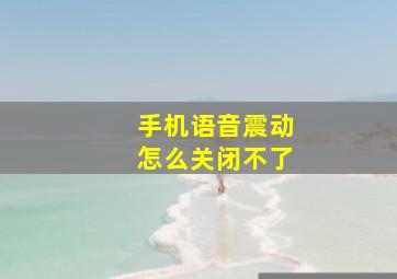 手机语音震动怎么关闭不了